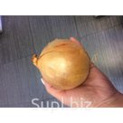 Репчатый лук. Калибр 5+