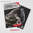 Гравюра "Тюлень" с металлическим эффектом серебра А4 + штихель