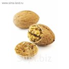 Стеклянный фартук закаленное стекло М1 "Грецкие орехи", 600х400х4