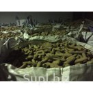 Морковь некондиция лом