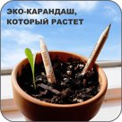 ЭКО-карандаши с логотипом компании
