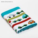 Пелёнка детская Машинки 75х120 см, фланель, 160 г/м², 100% хлопок