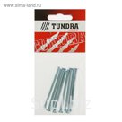Винт DIN965 TUNDRA krep, с потайной головкой, оцинк. М4х60 мм, в пакете 8 шт.