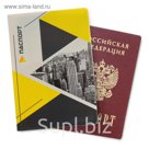 Обложка для паспорта "Геометрия"