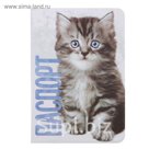 Обложка для паспорта "Кот"