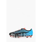 PUMA Бутсы PUMA Spirit II FG