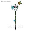 Светильник "Старт", колибри