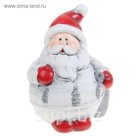 Сувенир "Белоснежный Дед Мороз/Снеговик" МИКС