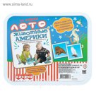 Лото "Животные Америки"