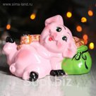 Копилка "Свинка с мешком"  микс