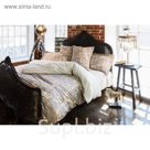 КПБ евро "Брызги шампанского", 240х260 см, 200х220 см, 50х70 см-2 шт., ранфорс 118 г/м2