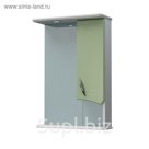 Шкаф-зеркало Палермо 50С фисташковый