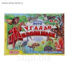 Лото "Угадай животных"