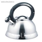 Чайник металлический  2,6л De Luxe