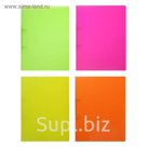 Папка на 2 кольцах А4 пластиковая 35мм Erich Krause Glance Neon, микс, EK 42972