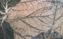 Декоративные панели из природных материалов с запахом Organoid SPECIAL: PUMPKIN LEAVES