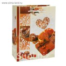 Пакет ламинированный 26 х 32 х 10 см