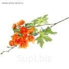 Цветы искусственные "Купавка" оранжевая
