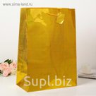 Пакет голографический, золотой, рисунок МИКС, 42 х 18 х 60 см