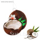 Ароматизатор для авто "Luazon Fruit Passion", пленяющий кокос