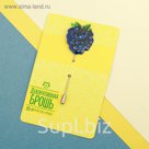 Брошь на открытке "Ежевика"