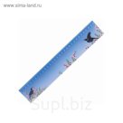 Линейка 30 см 3D BRAUBERG Птицы, эффект с движением, европодвес 210580