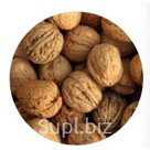Грецкий орех в скорлупе (крупный) Walnut in shell