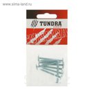 Саморезы с прессшайбой TUNDRA krep, 4.2х38 мм, острый, 9 шт.