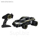 Машина Exost "Икс Флэш", на радиоуправлении, масштаб 1:10