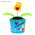 Маятник "Ты идеальна!"