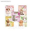 Тетрадь 48л кл BRAUBERG ЭКО Pets, обл мел карт, микс 401816