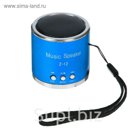 Портативная колонка мини USB/SD WS-398, работает от АКБ, цвета МИКС