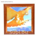 Аптечка "Парящий орел"