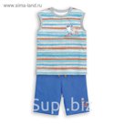 Комплект (футболка+шорты) для мальчика, рост 146 см, цвет голубой BFAVH4021