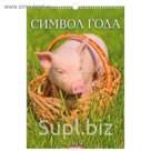 Календарь перекидной, ригель и пружина "Символ года - 2" 2019 год, 34х49см