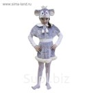 Карнавальный костюм "Мышка", 3 предмета: пелерина, юбка, маска-шапочка. Рост 122-128 см