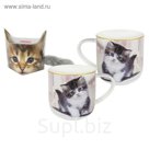 Кружка «Котёнок на рояле» 0.5 л, в подарочной упаковке с брелком