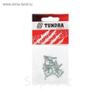 Винт DIN84 TUNDRA krep, с цилиндрической головкой, М4х10 мм, оцинкованный, 20 шт.
