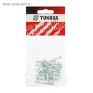 Гвоздь толевый TUNDRA krep, 3х40 мм, оцинкованный, в упаковке 20 шт.