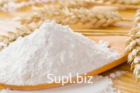 Flour wheat first variety