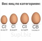 Яйцо пищевое куриное (360 шт)