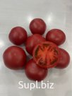 Томаты тепличные, калибр 5, сорт Пинк Фест F1 (Розовый)