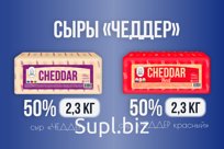 Сыр Чеддер 50%