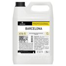 Антисептик кожный дезинфицирующий бесспиртовой 5 л PRO-BRITE BARCELONA, готовый раствор