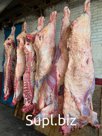 Говядина охлажденная в полутушах/четвертинах