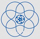 Вкладыши шатунные на дв. YC6J125Z-t20 XCMG LW300F