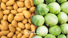 капуста и картофель