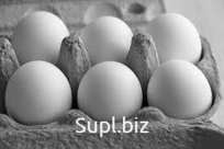 Яйцо куриное 2 категории