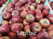Яблоки оптом 65+