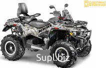 Квадроцикл STELS ATV010 (TE) ГЕПАРД 2.0 K01 EPS GN